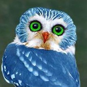 Meet your Posher, Doreen